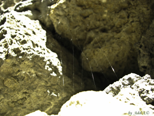 510781 (a): :1600x1200